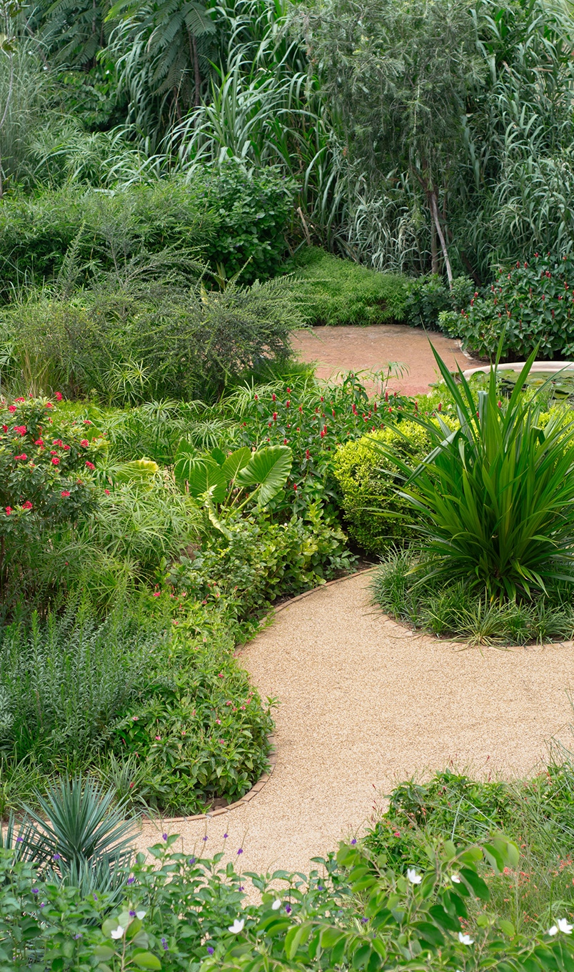 THE LITTLE GARDEN